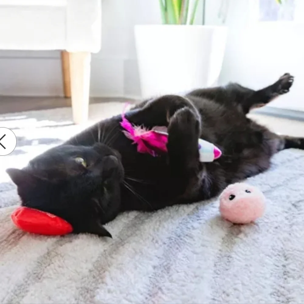 Quirky Kitty I Chews You Plush Cat Toy
